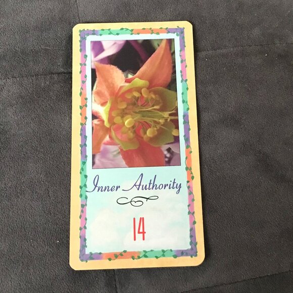 Angelic Messenger Cards Vintage Oracle Cards 1993 - Picture 7 of 10